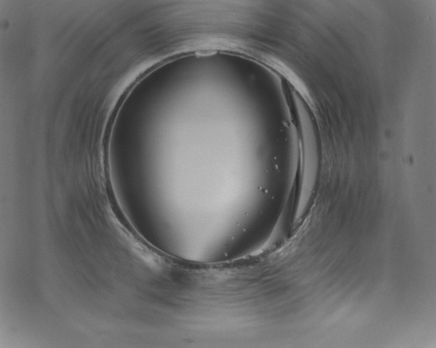 X0000076270996200610051306