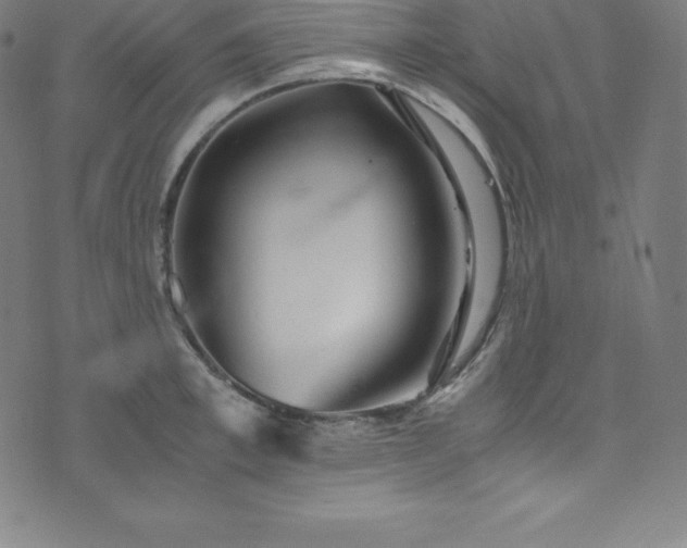 X0000076270997200610051306