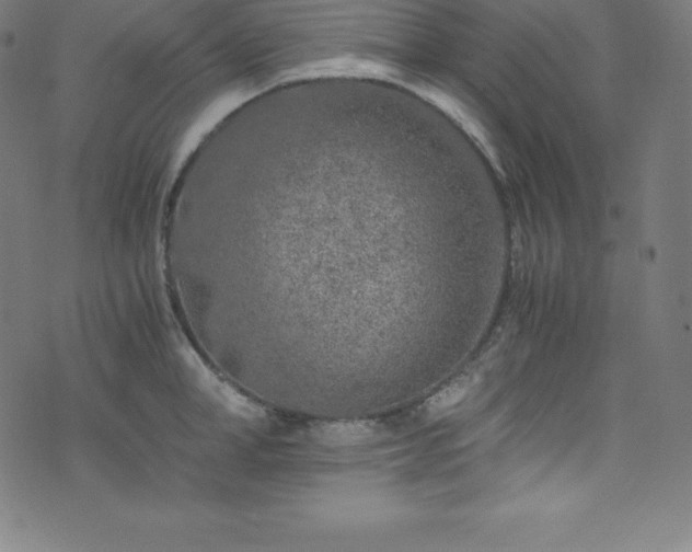 X0000076270998200610051306