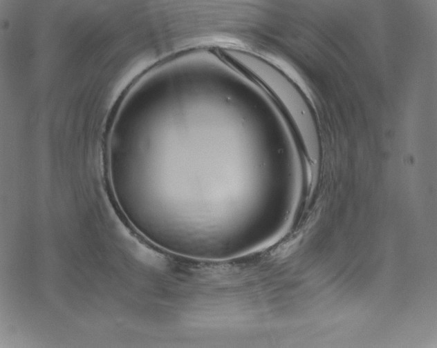 X0000076270999200610051306