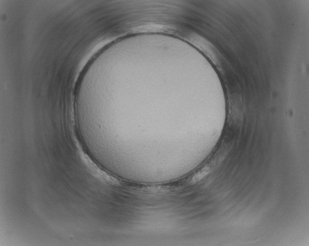 X0000076271000200610051306