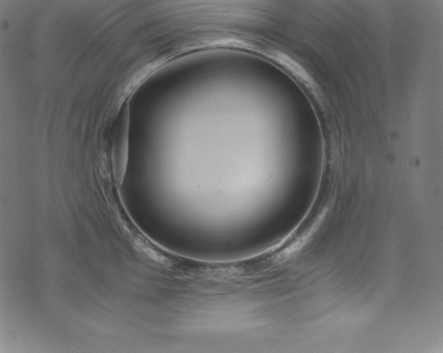 X0000076271001200610051306