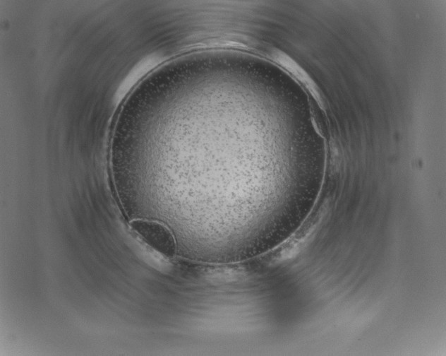 X0000076271002200610051306