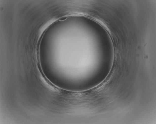 X0000076271003200610051306