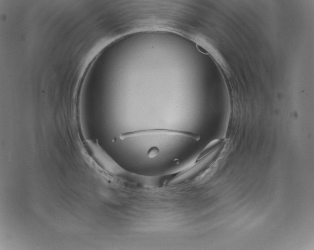 X0000076271004200610051306