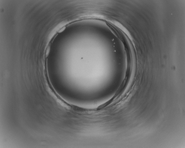 X0000076271005200610051306