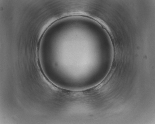 X0000076271006200610051306