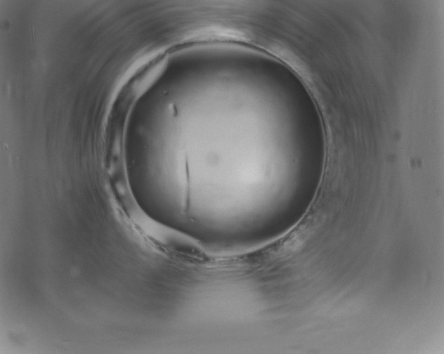 X0000076271008200610051306