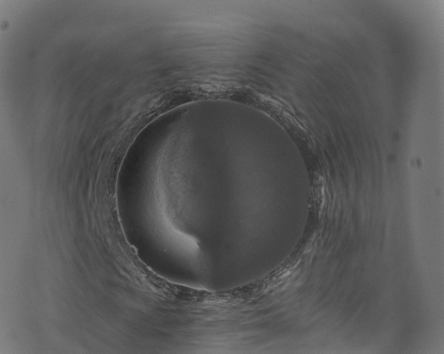 X0000076271009200610051305