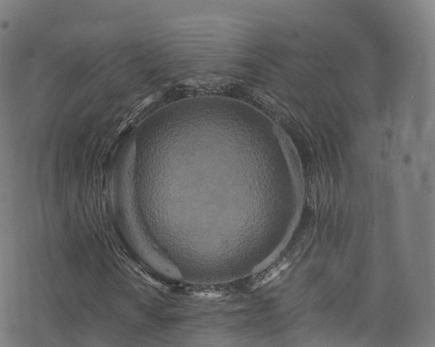 X0000076271010200610051305