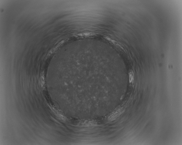 X0000076271011200610051305