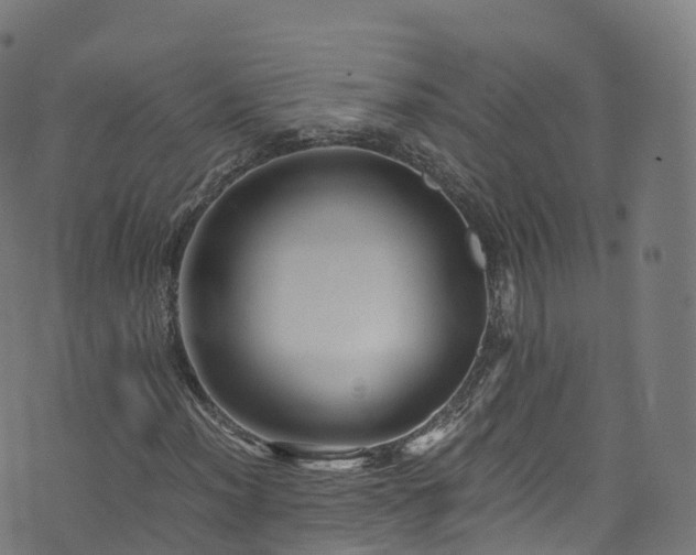 X0000076271012200610051305