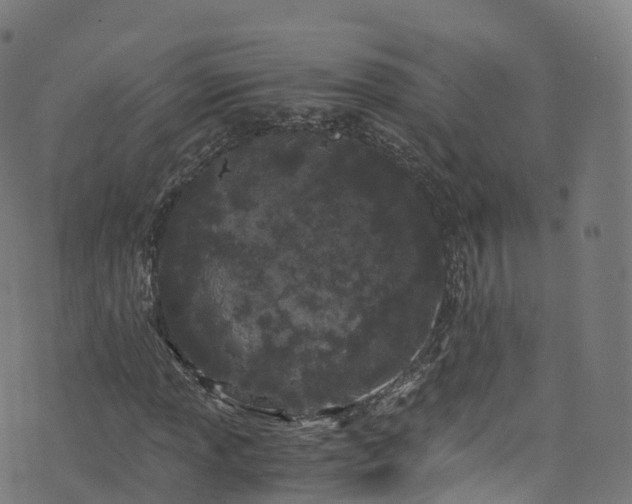 X0000076271013200610051305