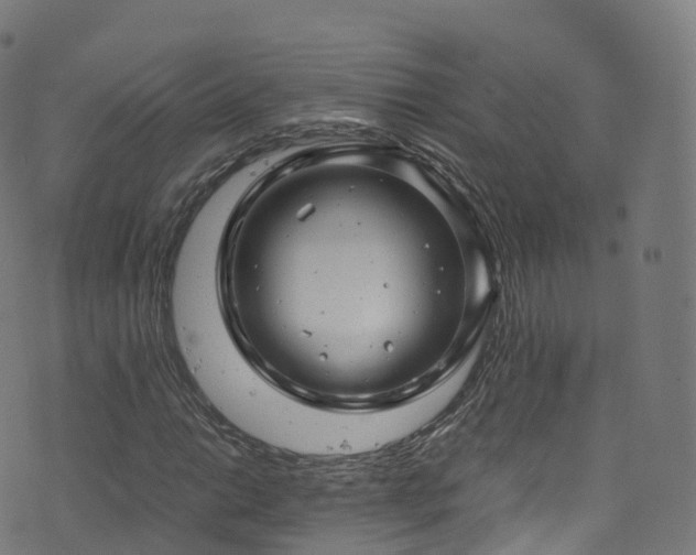 X0000076271014200610051305