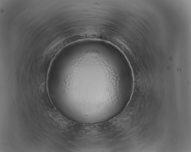 X0000076271015200610051305