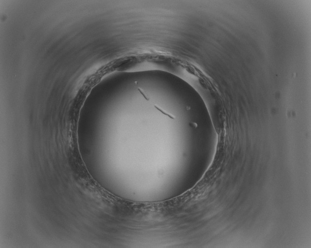 X0000076271016200610051305