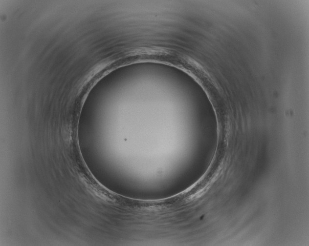 X0000076271017200610051305