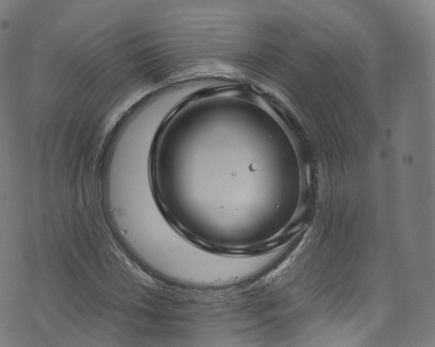 X0000076271018200610051305