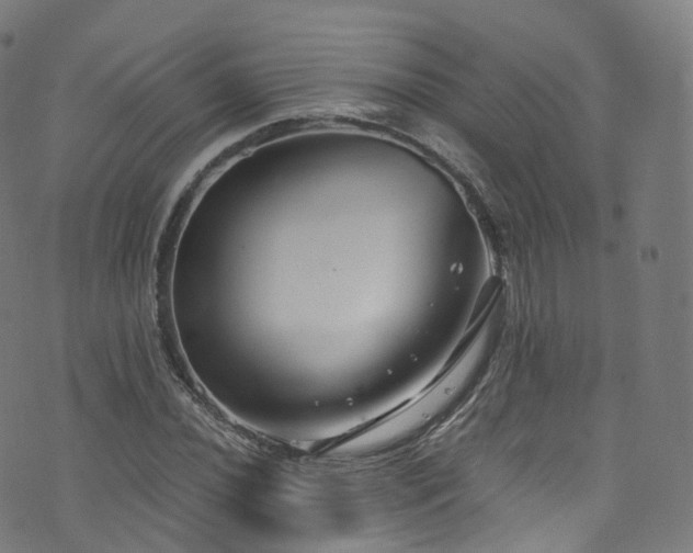 X0000076271020200610051305