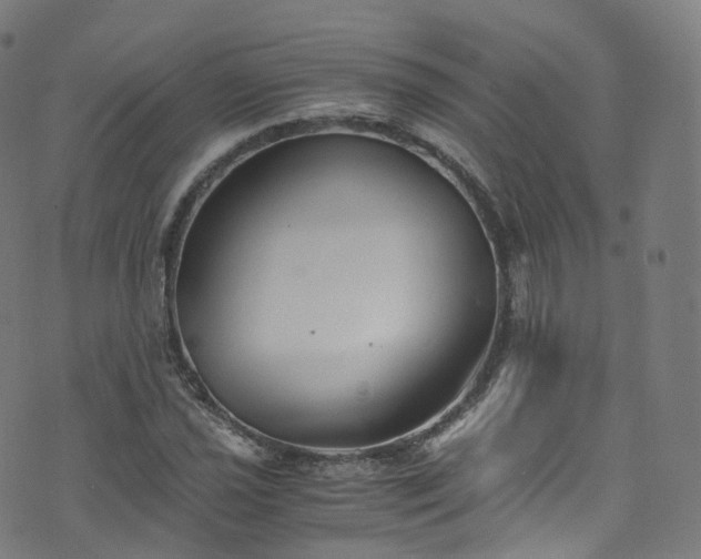 X0000076271021200610051305