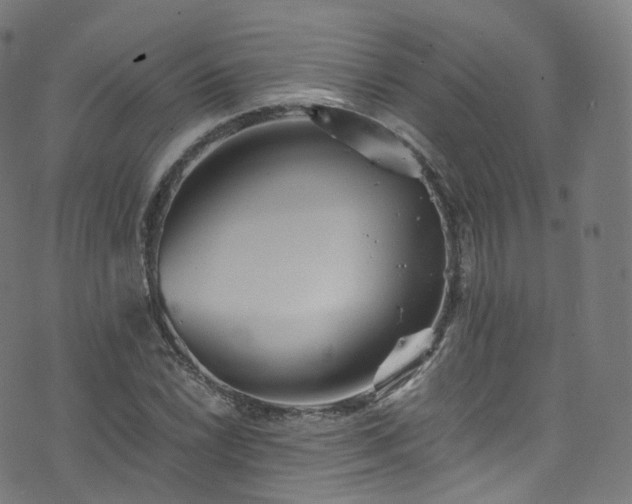 X0000076271022200610051305