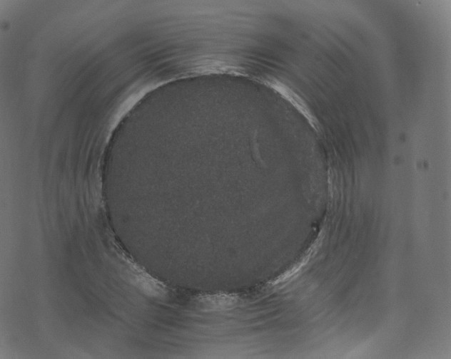 X0000076271023200610051305