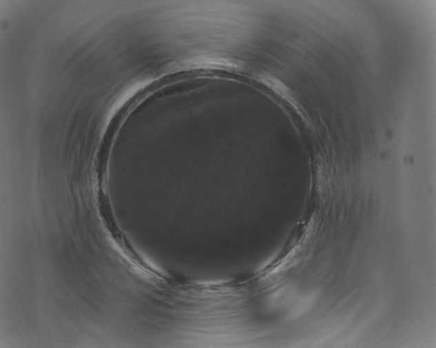 X0000076271024200610051305