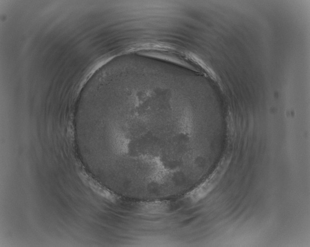 X0000076271025200610051305