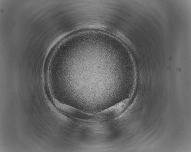 X0000076271028200610051305