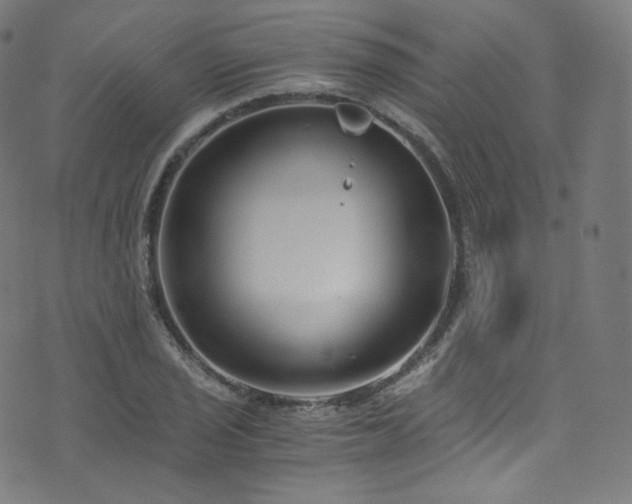 X0000076271029200610051305