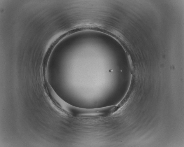 X0000076271030200610051305