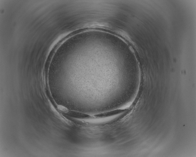 X0000076271032200610051305