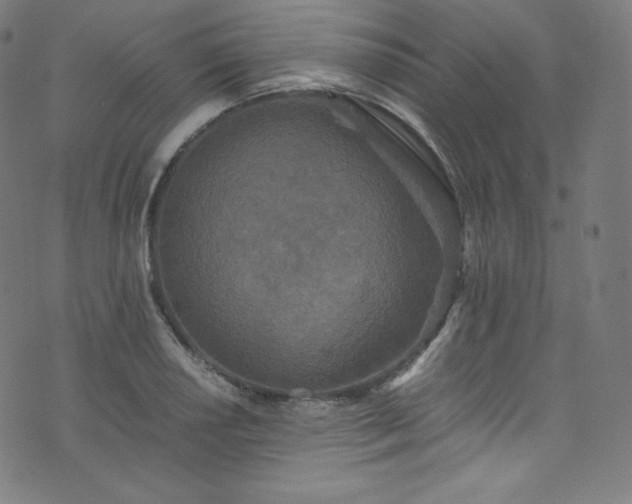 X0000076271034200610051305