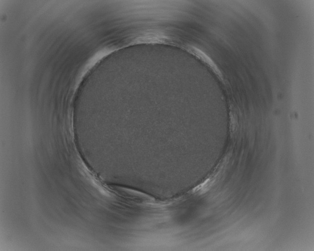 X0000076271035200610051305