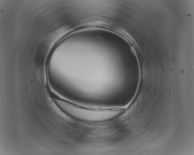 X0000076271036200610051305