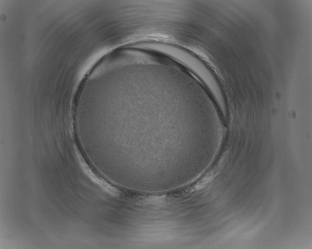 X0000076271038200610051305