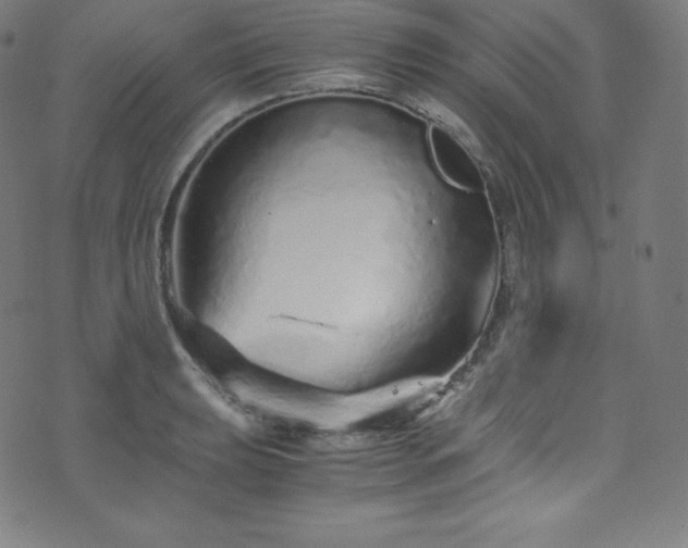 X0000076271039200610051305