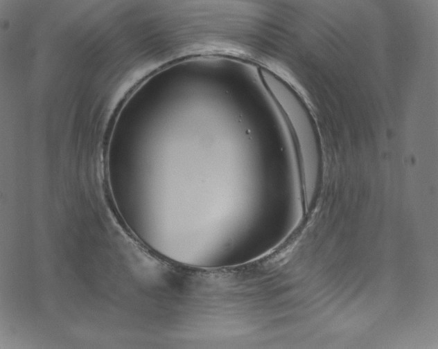 X0000076271040200610051305