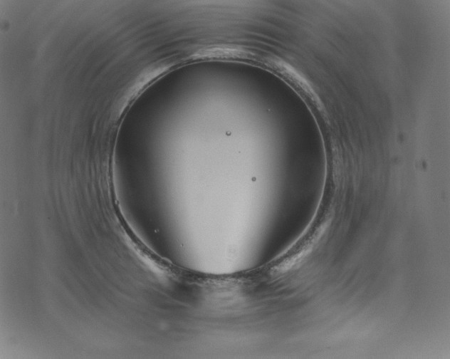 X0000076271041200610051306