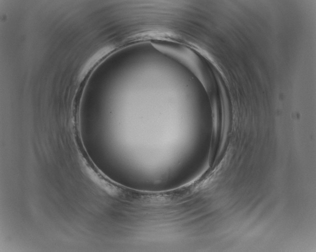 X0000076271042200610051306