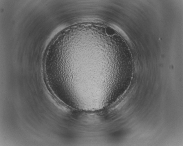 X0000076271043200610051306