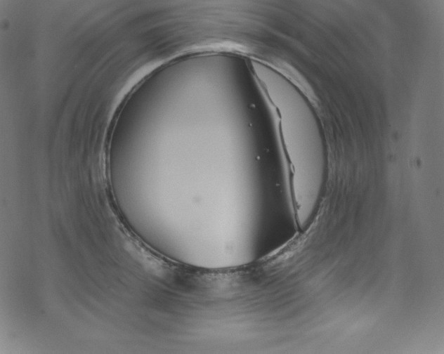 X0000076271044200610051306