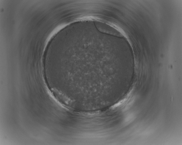 X0000076271045200610051306