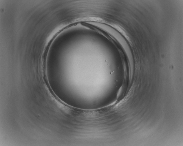 X0000076271046200610051306