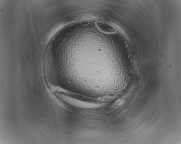 X0000076271047200610051306