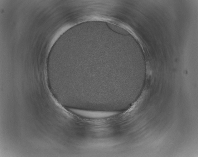 X0000076271048200610051306