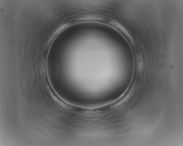 X0000076271049200610051306