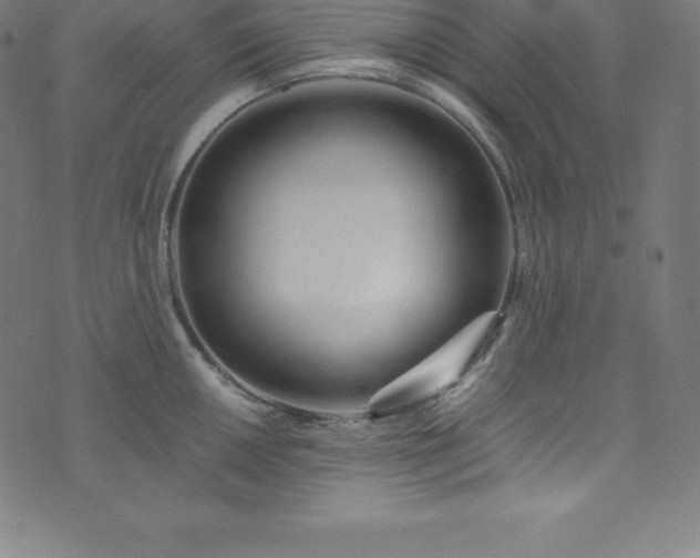 X0000076271050200610051306