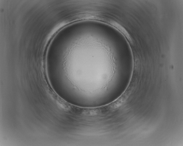 X0000076271051200610051306