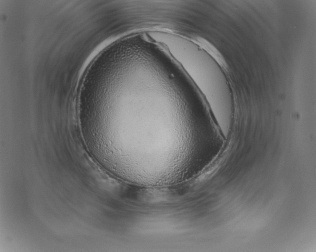 X0000076271052200610051306